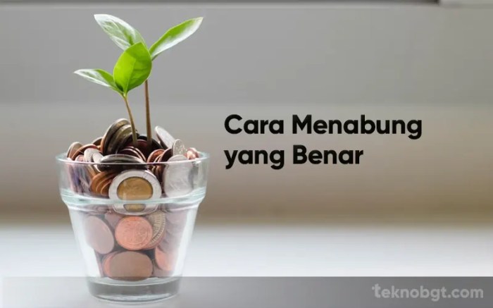 Cara Mengatur Keuangan agar Bisa Menabung dan Tetap Menikmati Hidup