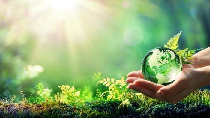 Green Lifestyle: Inovasi Ramah Lingkungan yang Akan Mengubah Dunia