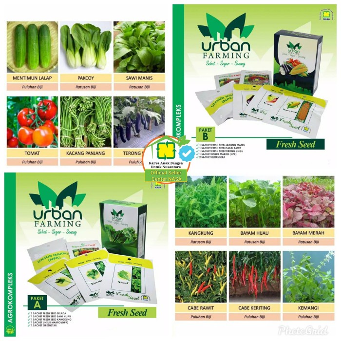 Urban Gardening: Berkebun di Lahan Sempit dengan Hasil Maksimal