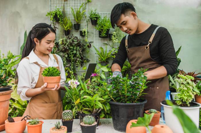 Urban Gardening: Berkebun di Lahan Sempit dengan Hasil Maksimal