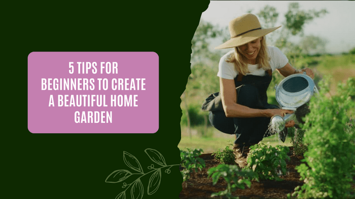 5 Tips for Beginners to Create a Beautiful Home Garden | by JMC ... Lifestyle Home Gardening untuk Pemula