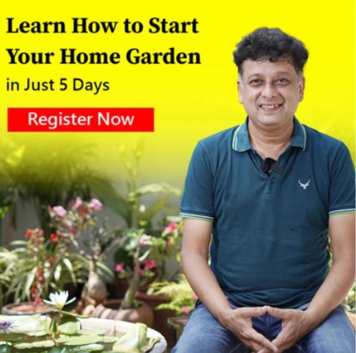 Lifestyle Home Gardening untuk Pemula